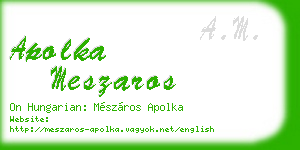 apolka meszaros business card