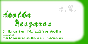 apolka meszaros business card